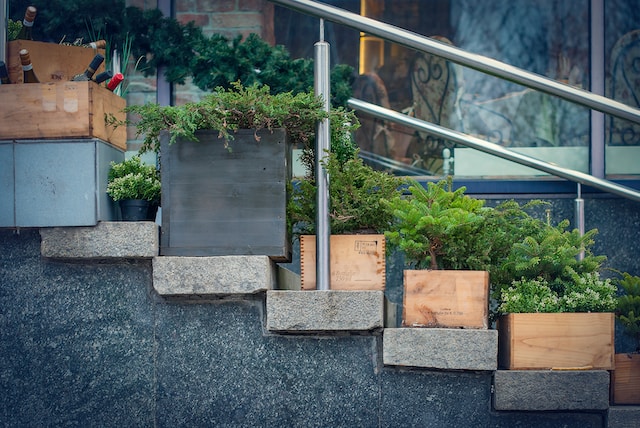How to Choose Custom Timber Planter Boxes for Your Home